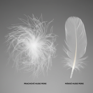 Down Pillow ROYAL DREAM (4 chambers)