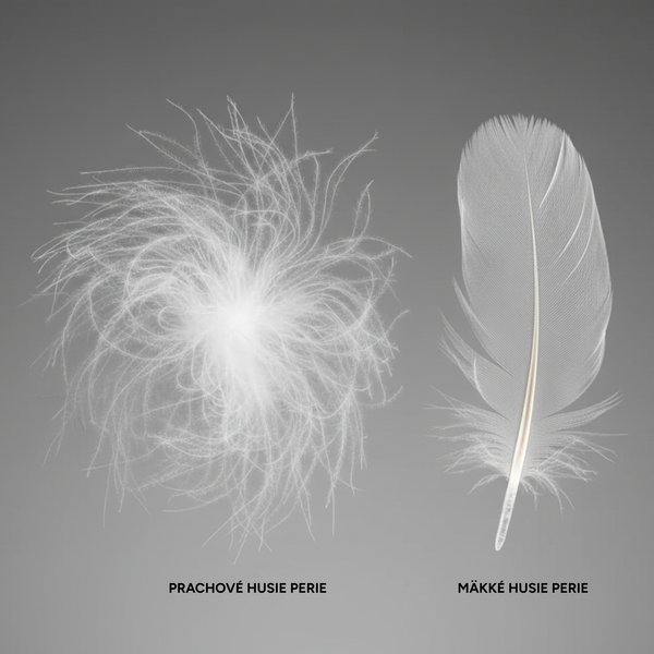 Down Pillow ROYAL DREAM (4 chambers)